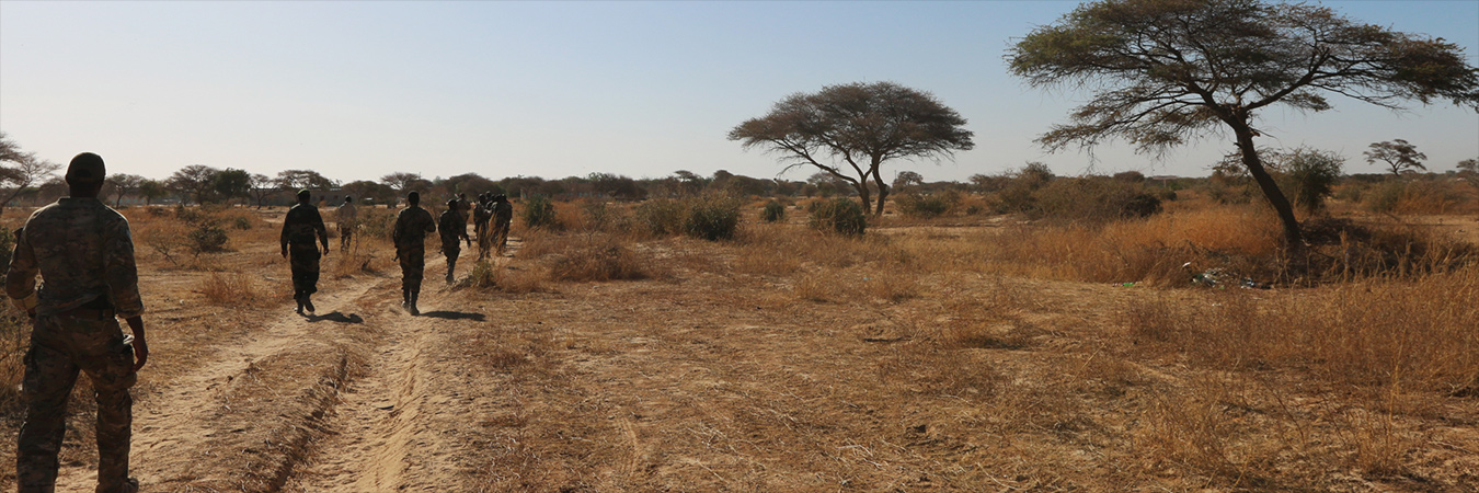 African soldiers