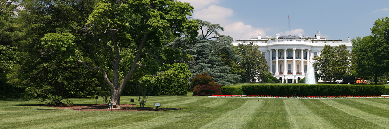 Whitehouse lawn. via https://upload.wikimedia.org/wikipedia/commons/2/2e/White_House_lawn.jpg